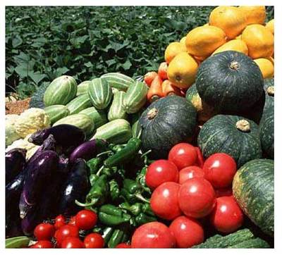 重慶市萬州區(qū)人大代表 蒞臨百安港農(nóng)產(chǎn)品批發(fā)市場(chǎng)視察