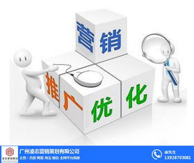 凌志營銷策劃 番禺區(qū)營銷型網(wǎng)頁建設(shè)與軟件開發(fā)，優(yōu)質(zhì)商家首選